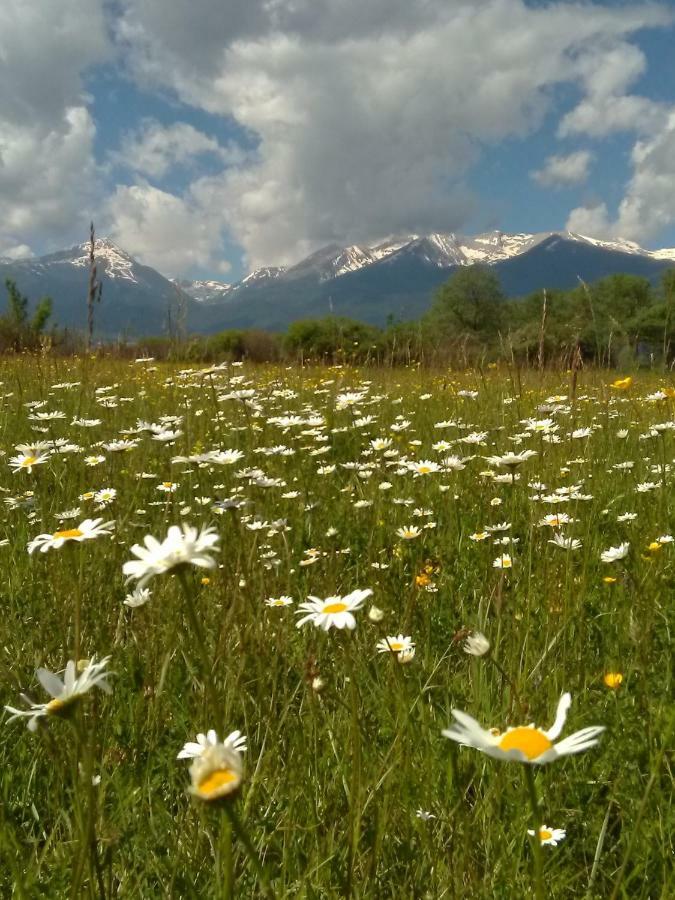 Belvedere Luxury Spa Apartments Bansko Eksteriør billede